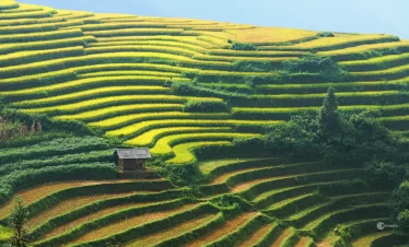 ha giang riziere