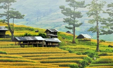 mai chau banner 1