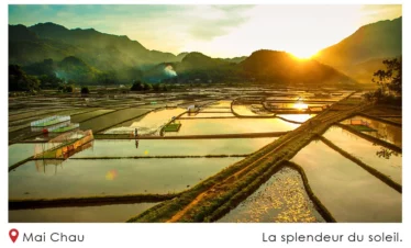 La splendeur du soleil