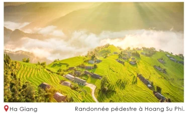Randonnée pédestre à Hoang Su Phi 