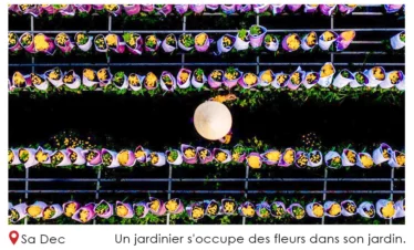 Un jardinier s'occupe des fleurs dans son jardin.