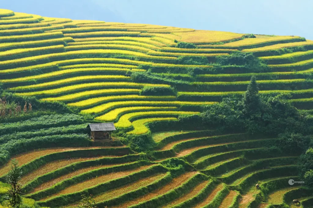 ha giang riziere - voyage sur mesure Vietnam