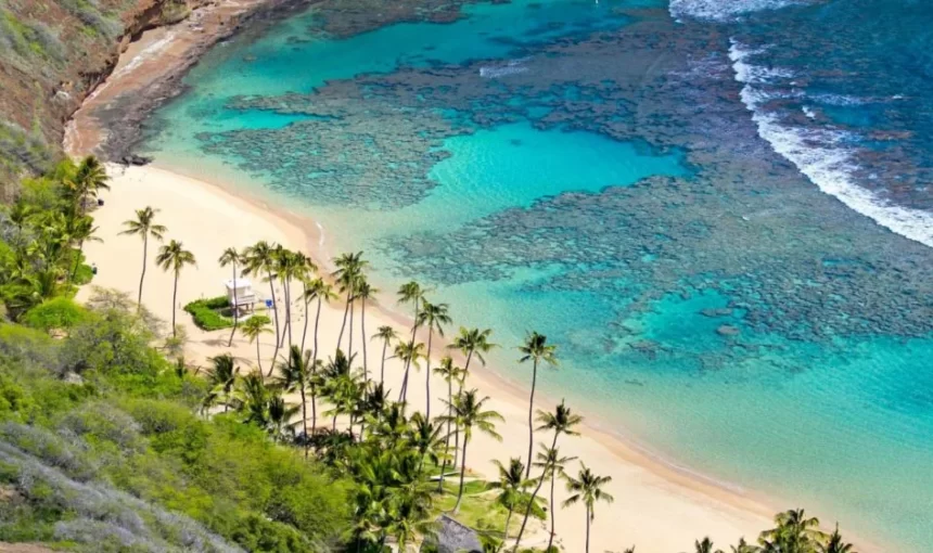 Iles Cham à Hoi An : Carnet de voyage à l’île Cham de Hoi An