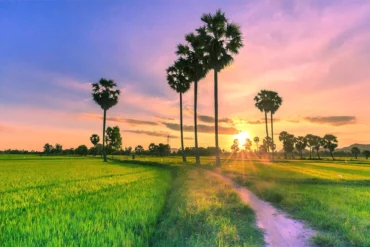 An giang   sud du Vietnam