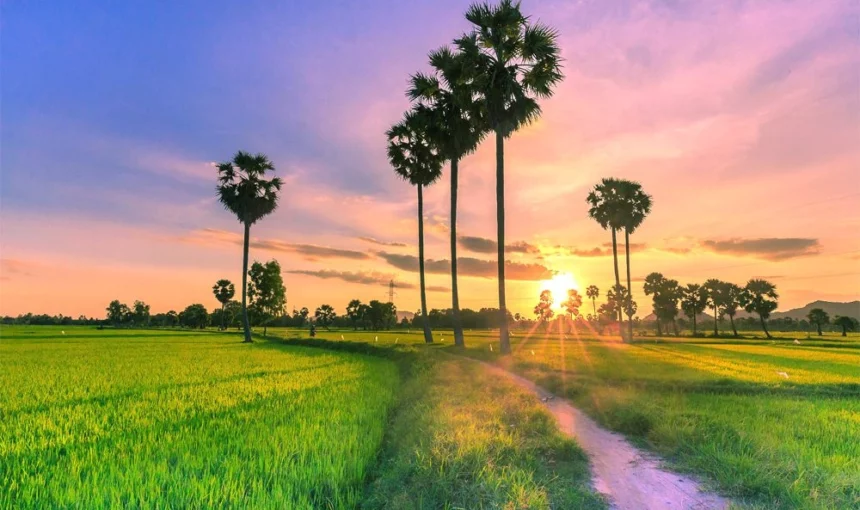 Itinéraire Vietnam 15 jours – 5 meilleures itinéraires 15 jours Vietnam