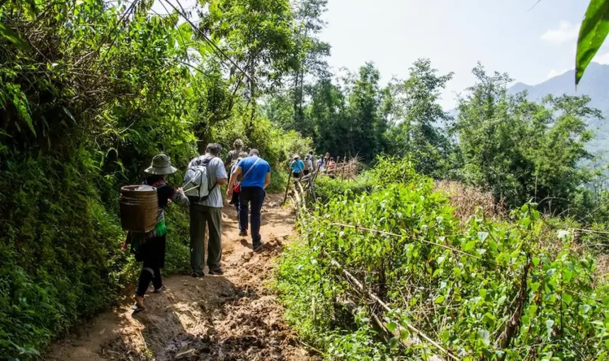 Randonnée Sapa – Conseils par experts locaux à Sapa