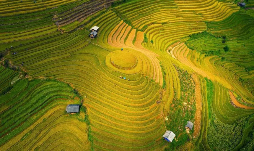 Mu Cang Chai – Meilleures expériences à Mu Cang Chai Yen Bai