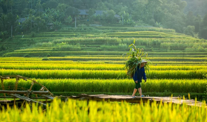 Que faire à Pu Luong ? Guide de visite Pu Luong