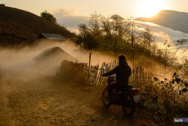 bac ha ngai thau