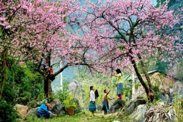 tet nguoi hmong pa co