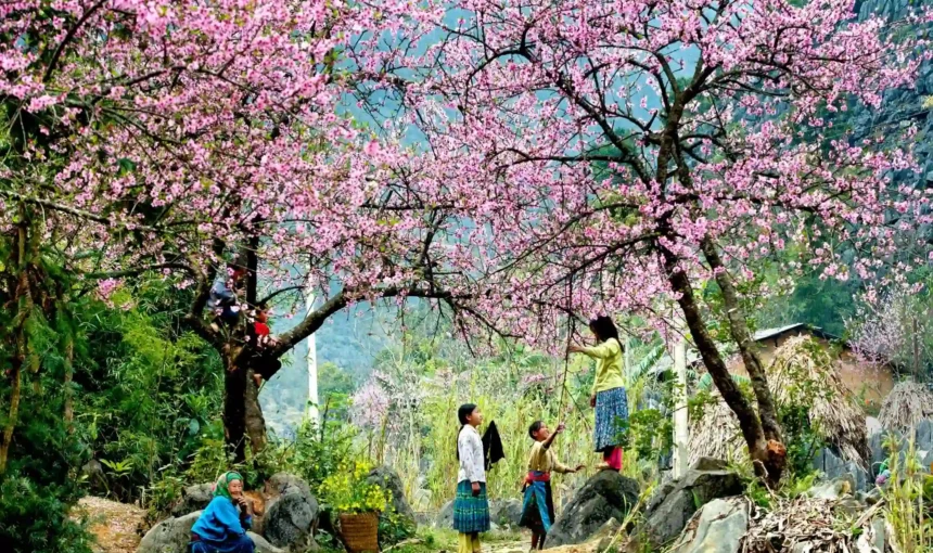 Vietnam en Août : Météo, Choses à faire et Conseils