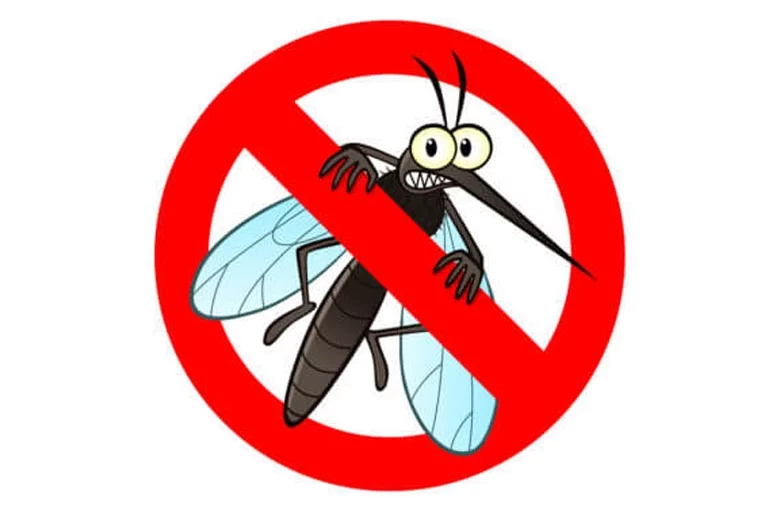 Comment se protéger des moustiques au Vietnam