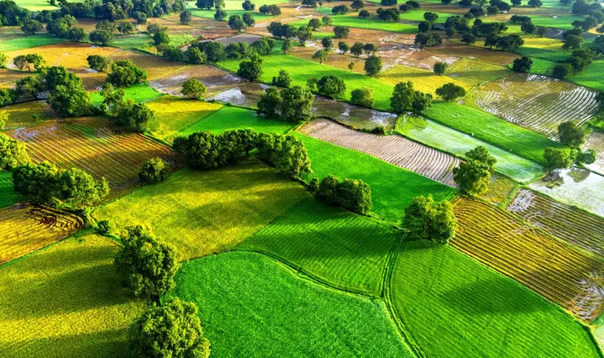 Chau Doc : Plongez dans la Beauté du Delta du Mékong