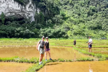 Y a t il des zones où je peux faire du trekking ou de la randonnée pédestre pour découvrir la nature préservée du Vietnam