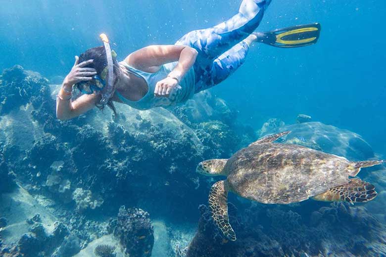 Le Vietnam est il une bonne destination pour la plongée sous marine