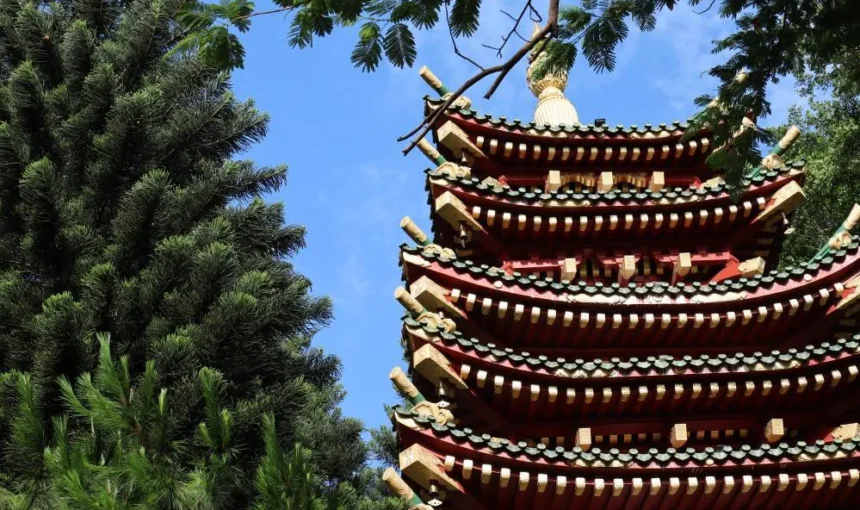 Pagode Minh Thanh à Pleiku : une parenthèse de sérénité au cœur des Hauts Plateaux