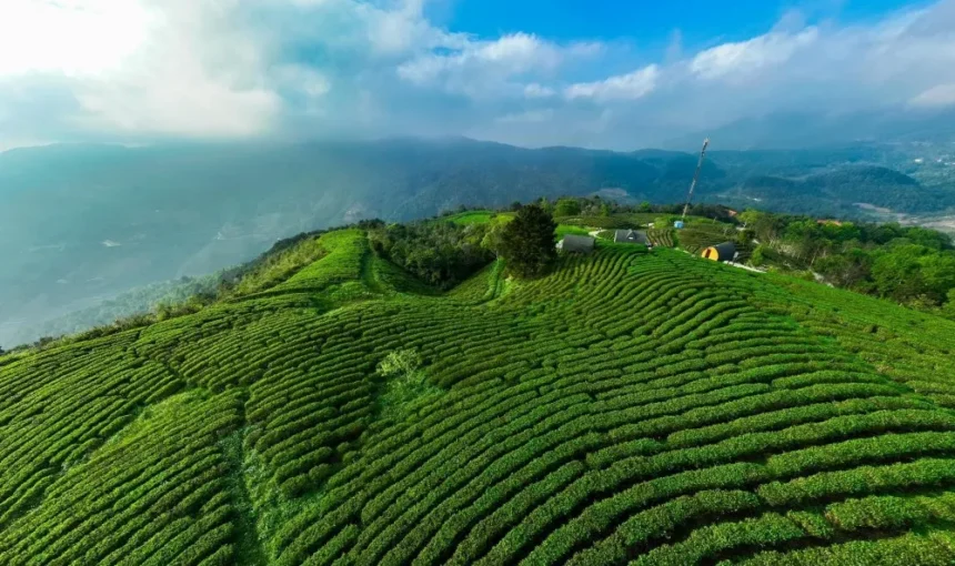 Météo à Cao Bang : la meilleure saison pour voyager à Cao Bang