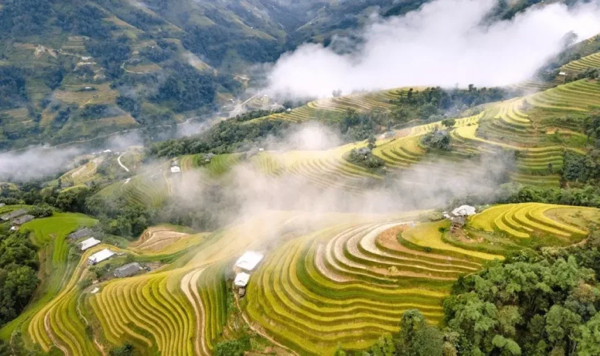 Que faire à Sapa, Vietnam : les meilleures activités