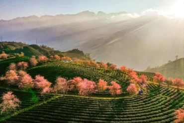 Sapa Vietnam