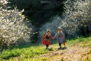 Tourisme-à-Cao-Bang-au-printemps