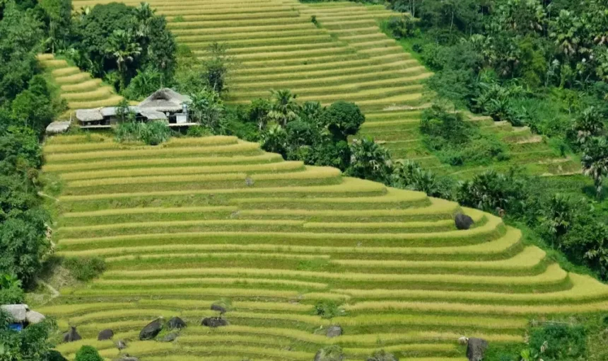 La Boucle de Hà Giang : Un voyage palpitant à travers les hautes terres les plus époustouflantes du Vietnam