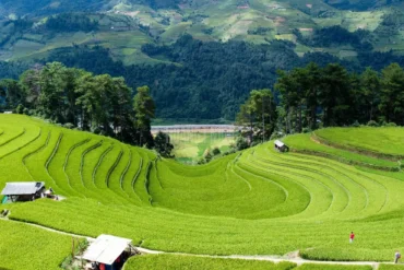 Mu Cang Chai-Hanoi