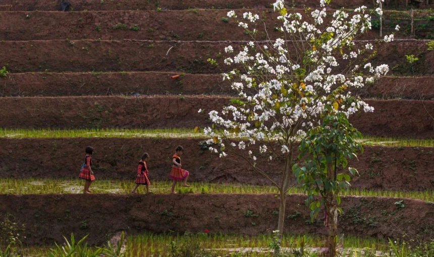 Guide de voyage Mai Chau : Les meilleures choses à faire à Hoa Binh, Vietnam