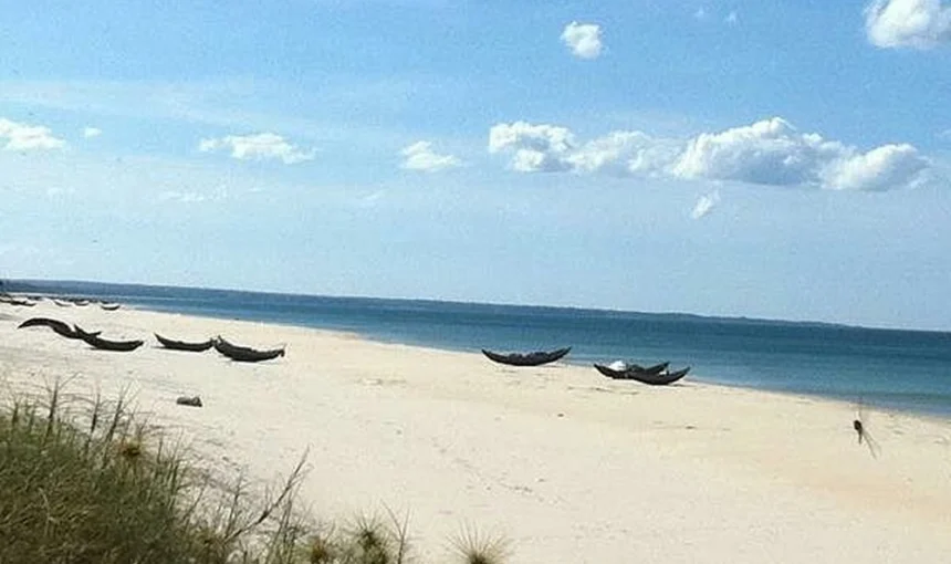 Quang Tri côtier : Plages paisibles et authenticité locale