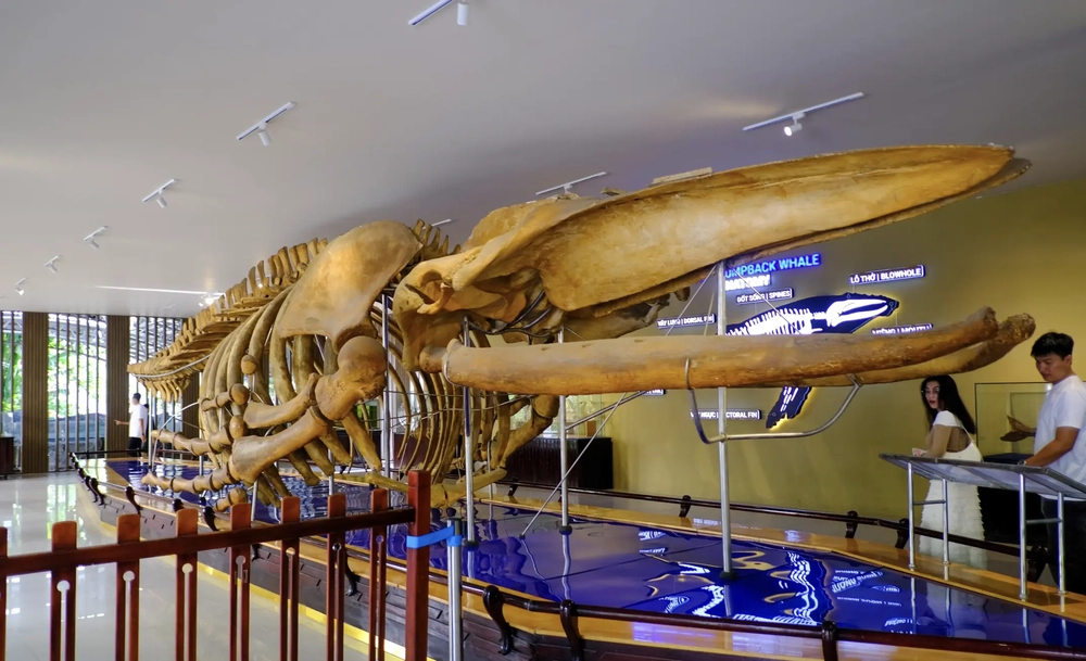 Institut océanographique de Nha Trang_1000