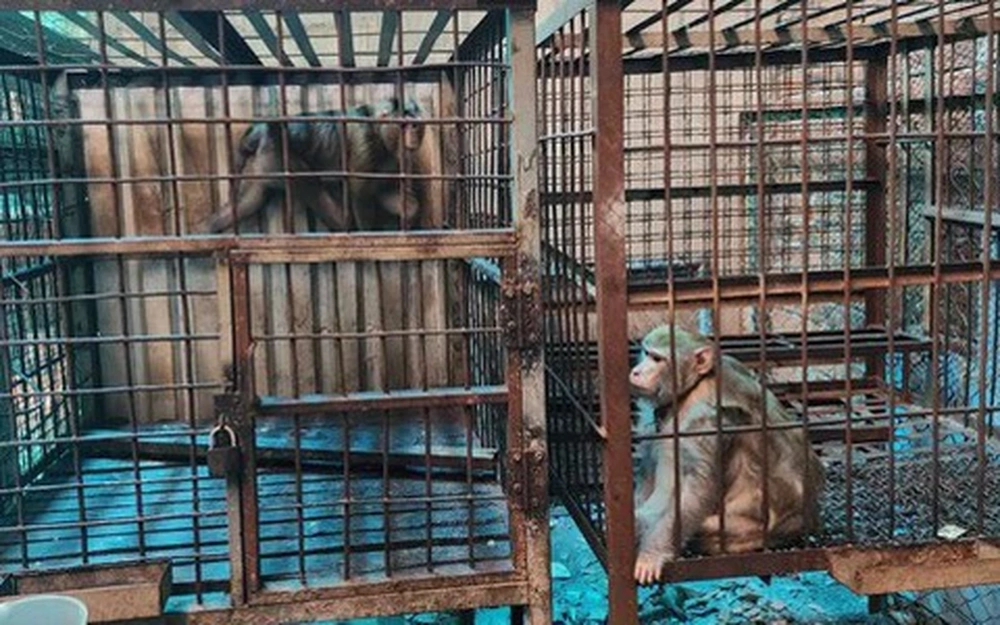 La station de sauvetage de la faune sauvage