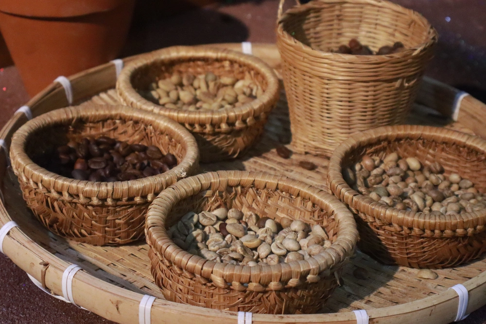 Musée mondial du café à Buon Ma Thuot 6_1000
