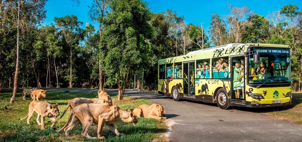 Vinpearl Safari Phu Quoc
