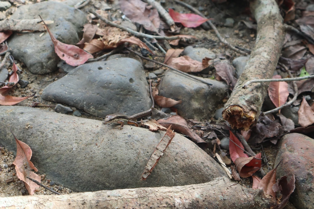 chute dray nur vietnam_1000