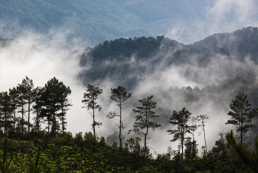 col khau pha meteo_1000