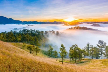 da lat_1000