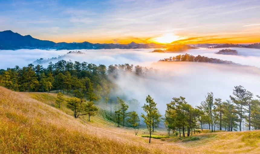 Guide Complet de Da Lat – Ville des fleurs au Vietnam