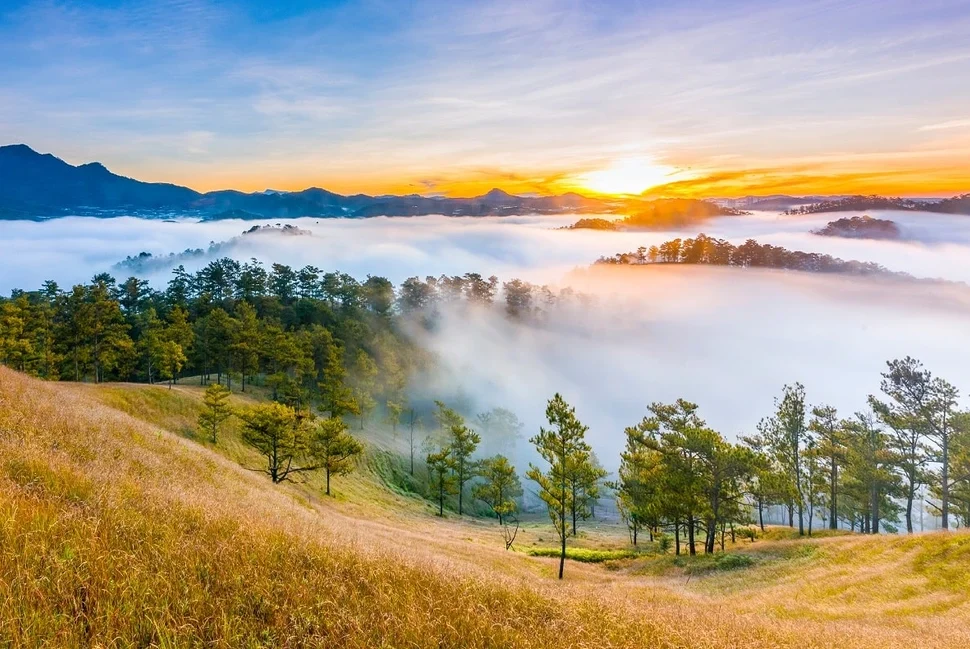 da lat_1000