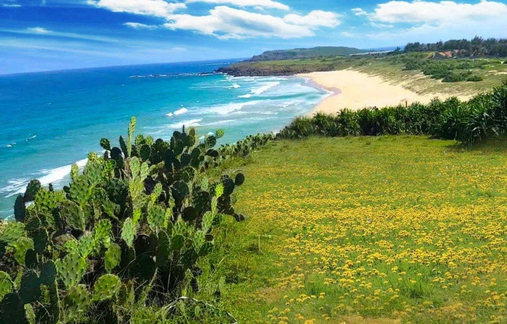 phu yen bai xep_1000