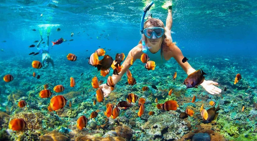 snorkeling hon Gam Ghi