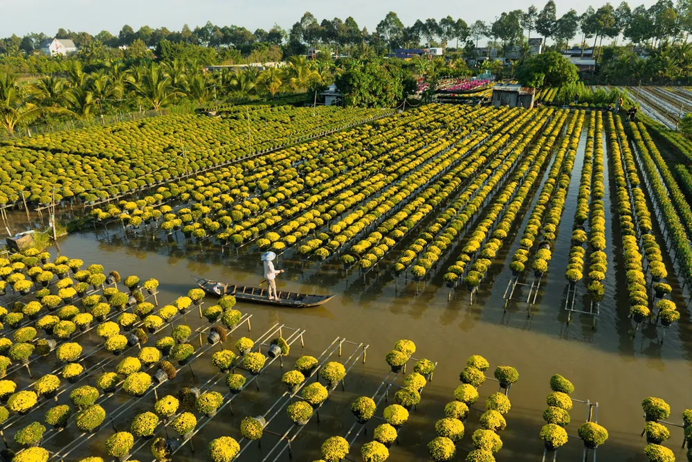 village de fleurs de Sa Dec_1000