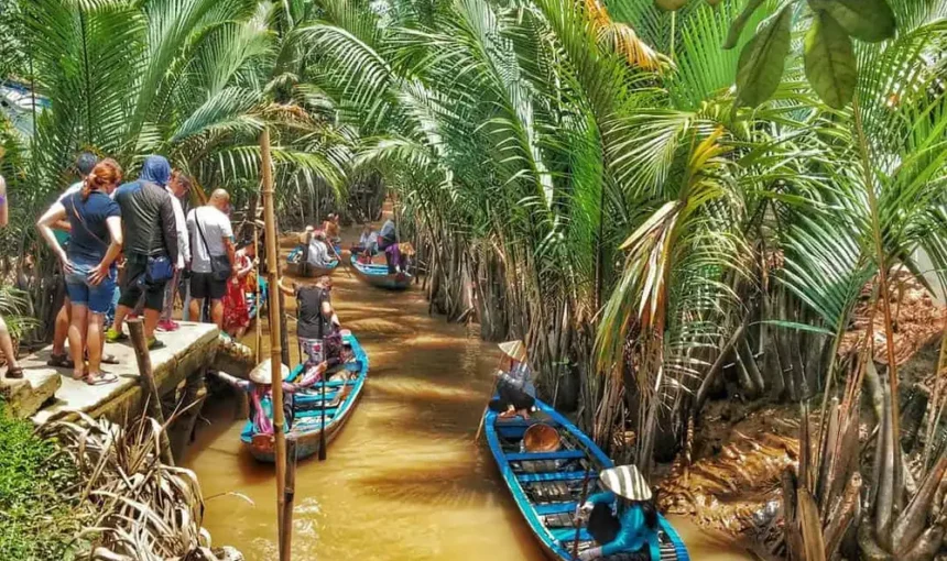 Carte du Delta du Mékong au Vietnam: Guide Géographique et Routier
