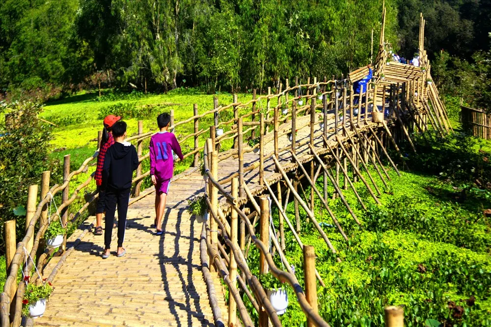 Marcher sur les passerelles du foret de tra su an giang