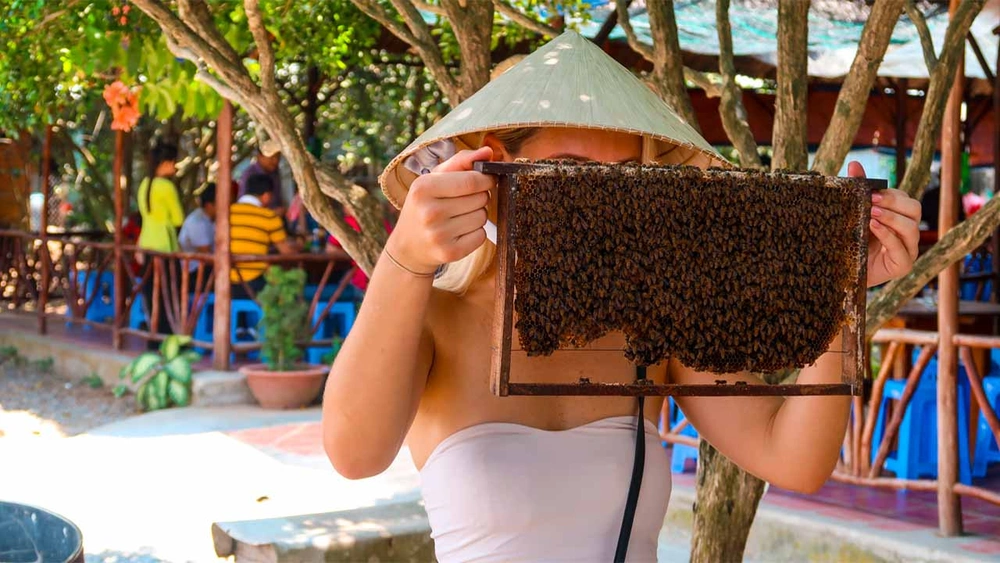 Visitez une ferme apicole a con quy ben tre