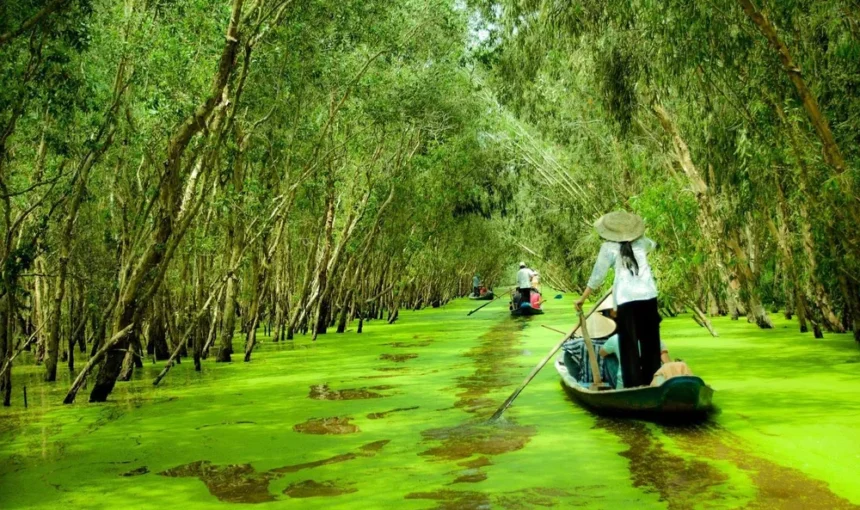 An Giang Vietnam: que faire et comment organiser son voyage?