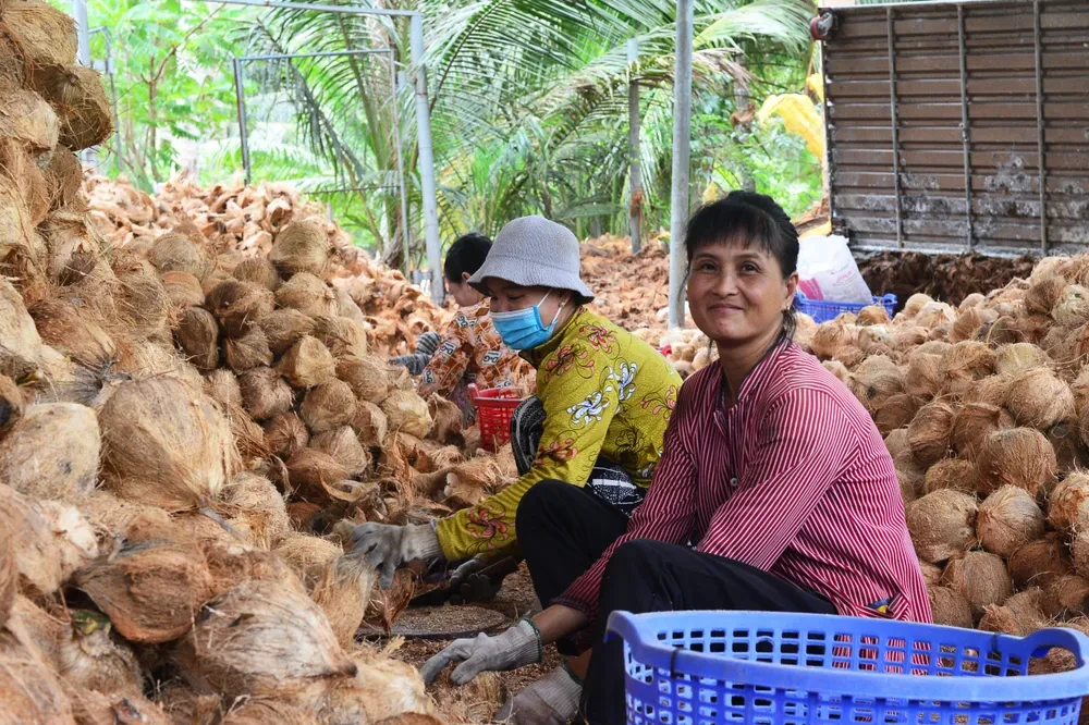 ateliers de noix de coco ben tre