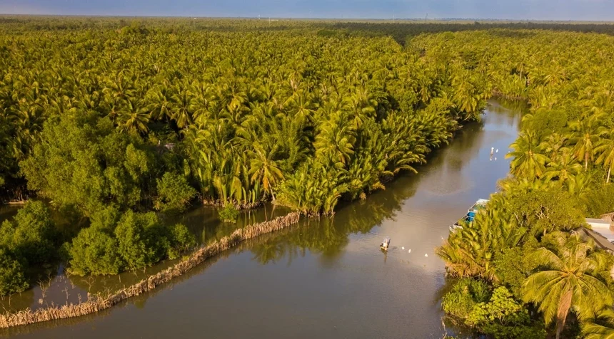 Ben Tre Vietnam: Guide complet pour visiter le pays des cocotiers