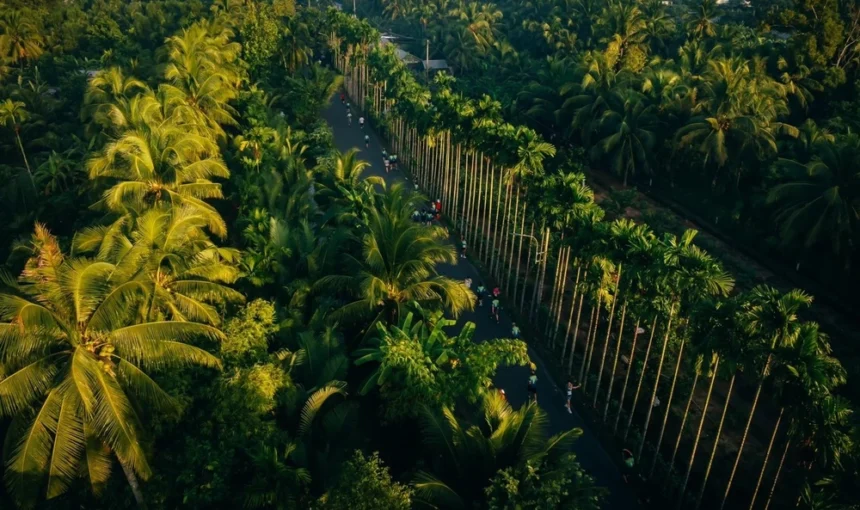 Que faire à Ben Tre? Les meilleures expériences du Delta du Mekong