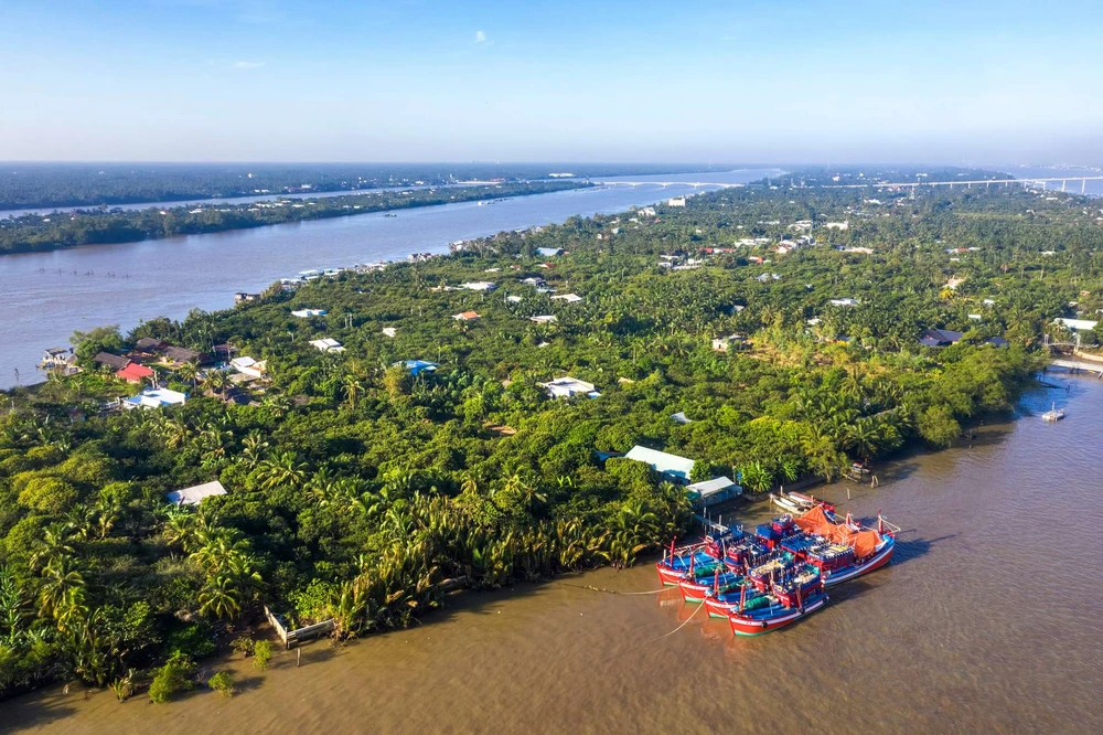 con phung ben tre