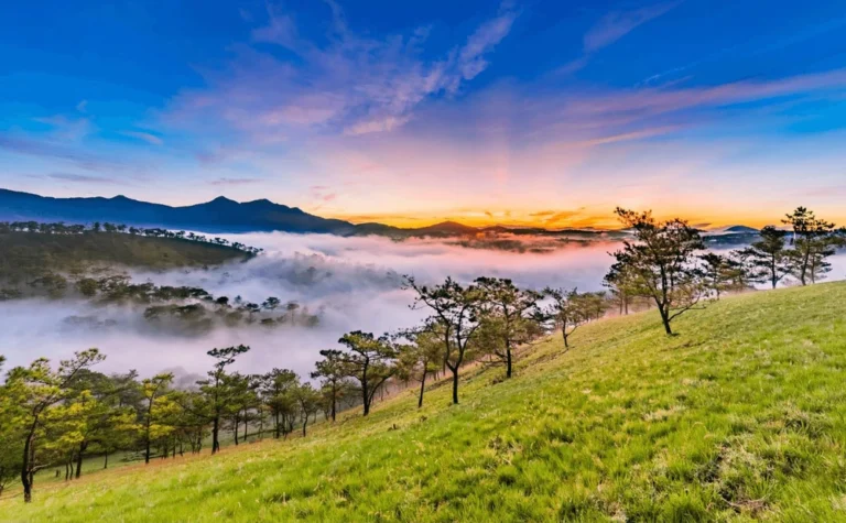 da lat vietnam