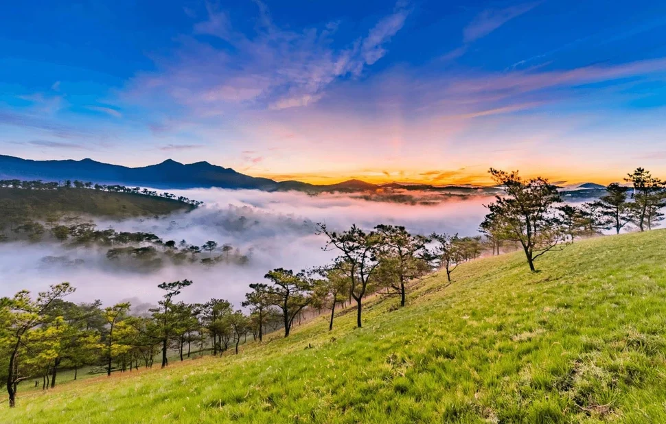 da lat vietnam